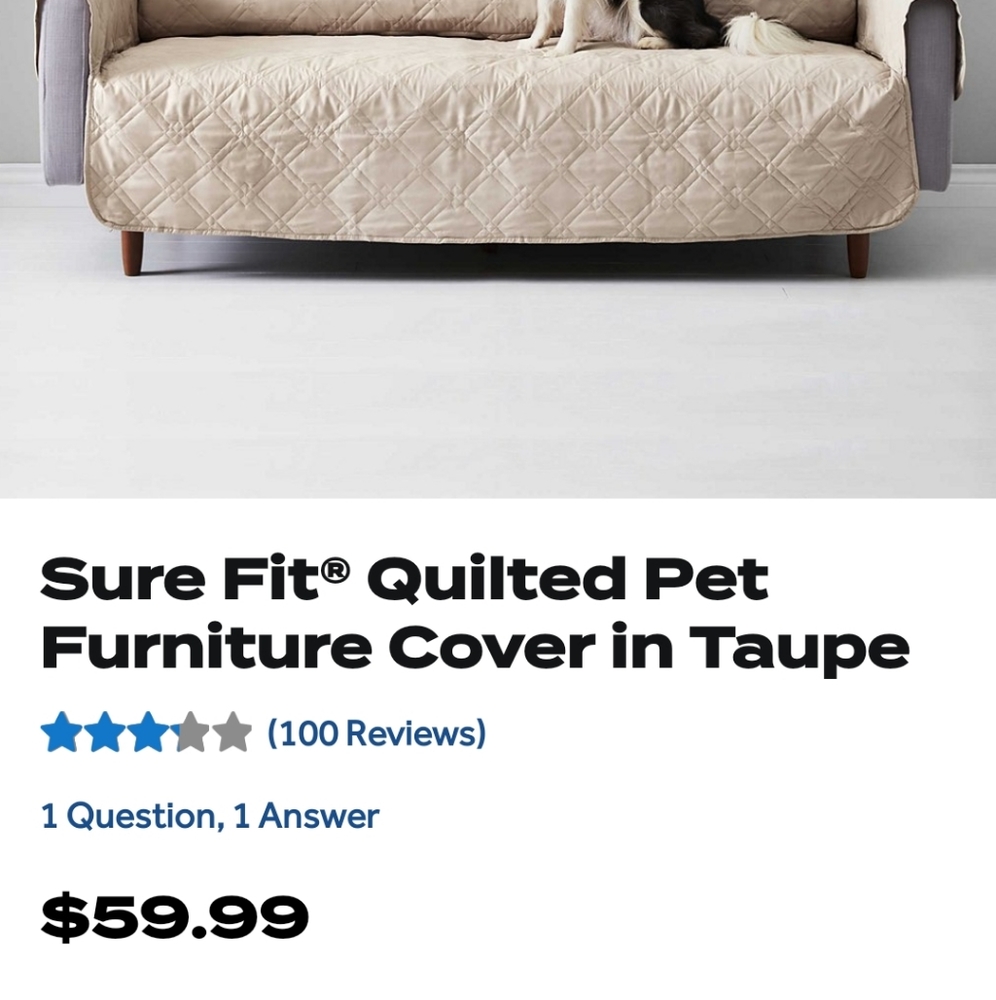 Furniture protector